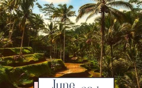 Tropics Day 